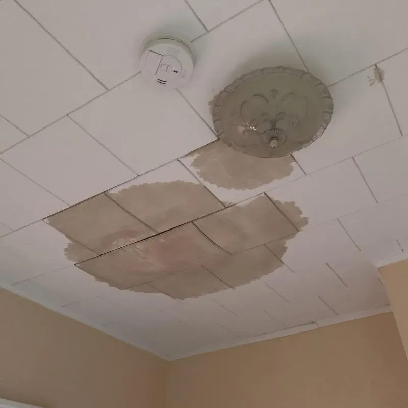 Ceiling Water Damage Repair in Shelby County, OH