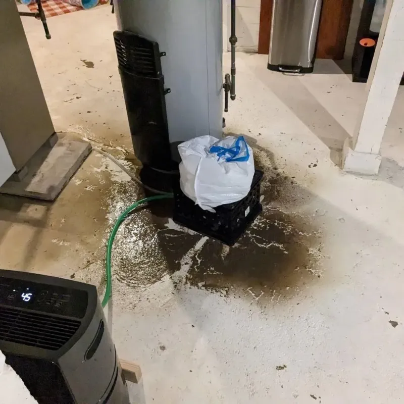 Sewage Backup Cleanup Service in Shelby County, OH